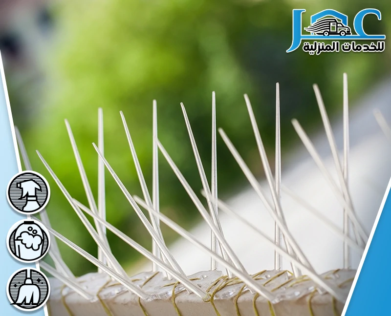 شركة مكافحة الحمام بالمدينة المنورة