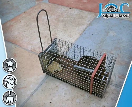 طارد فئران بالمدينة المنورة طارد فئران بالمدينة المنورة